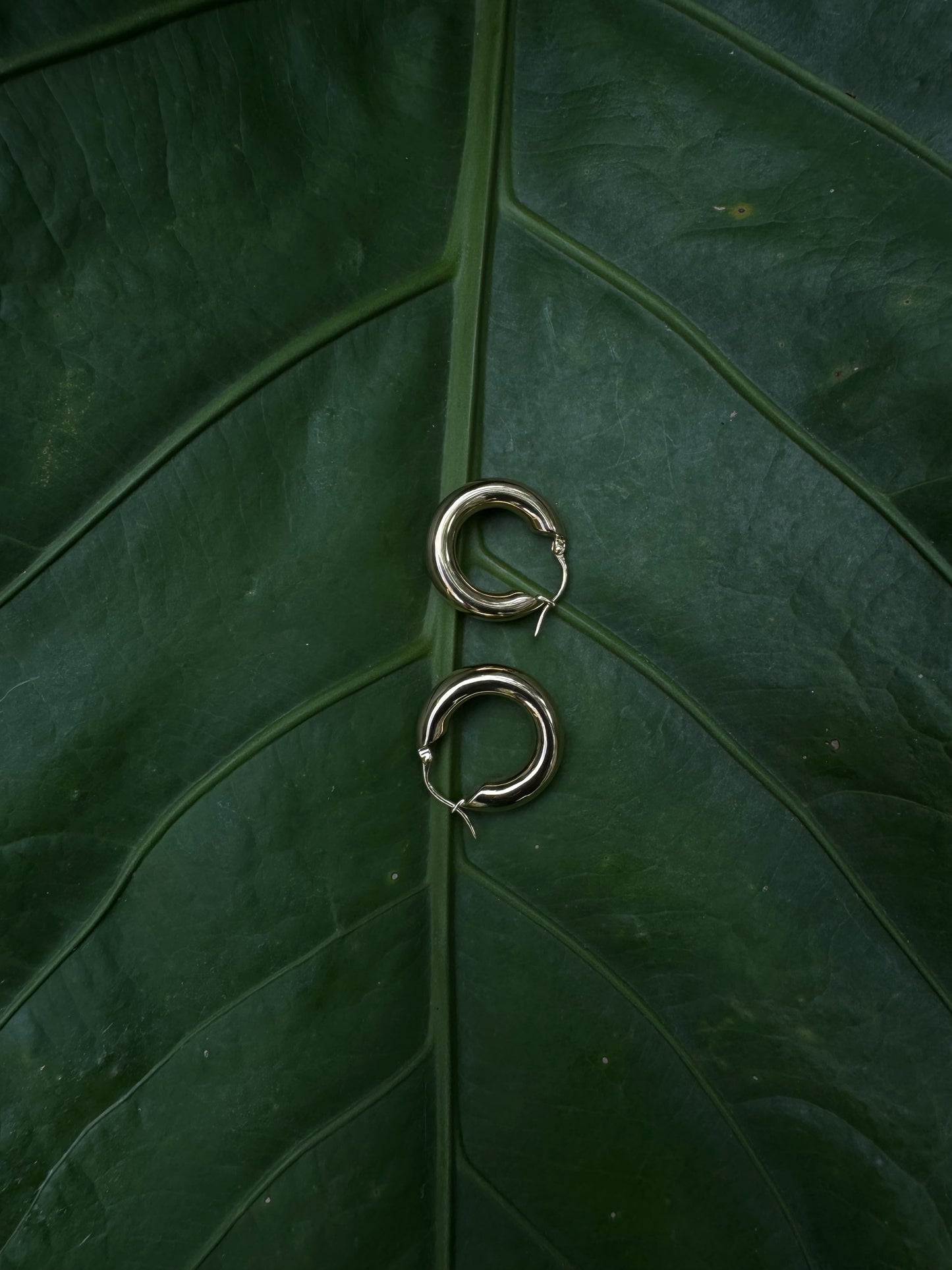 Silver / gold